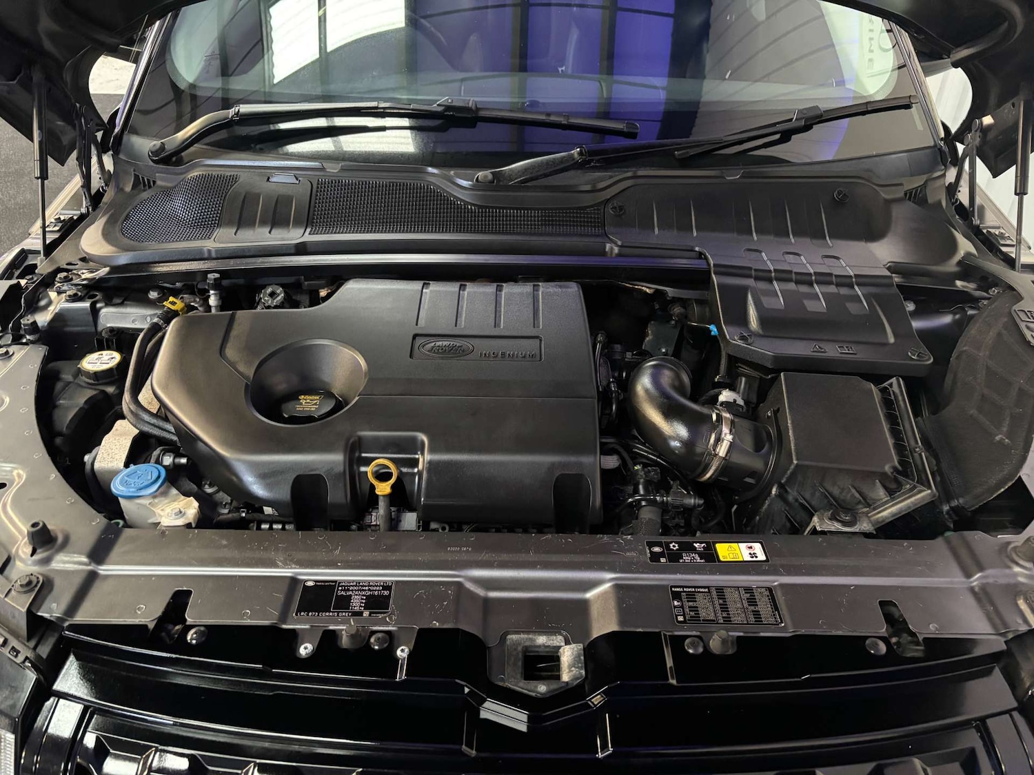 Used Land Rover Range Rover Evoque 2016 for sale - 77022273: Photo 77