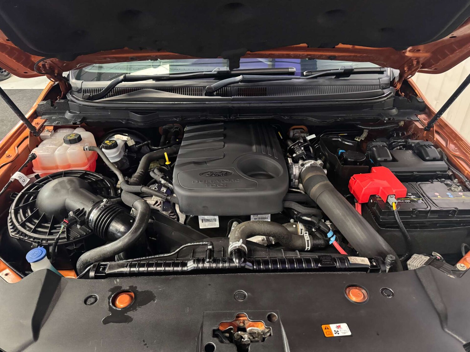 Used Ford Ranger 2019 for sale - 77872416: Photo 78