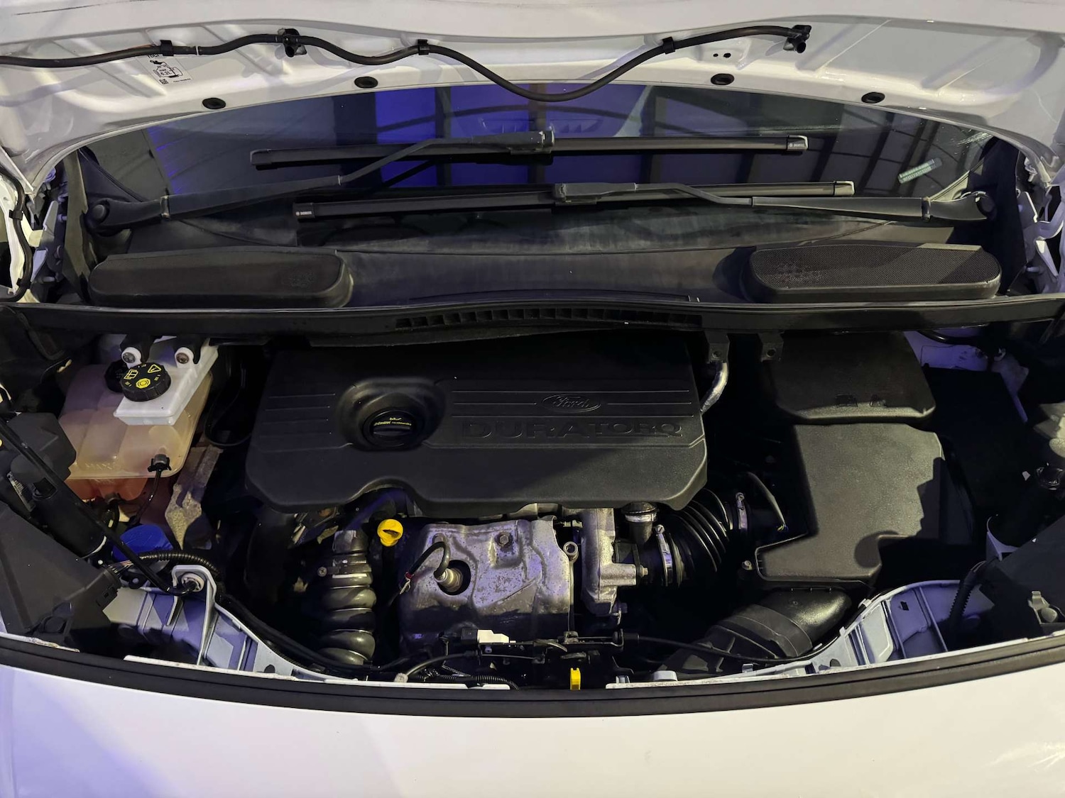 Used Ford Transit Connect 2016 for sale - 76919197: Photo 56