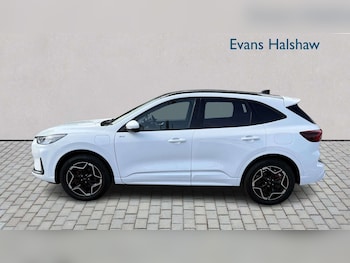 Used Ford Kuga 2025 for sale - 79428803: Photo