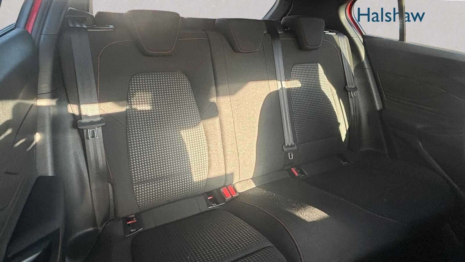 Used Ford Focus 2024 for sale - 77772231: Photo 7