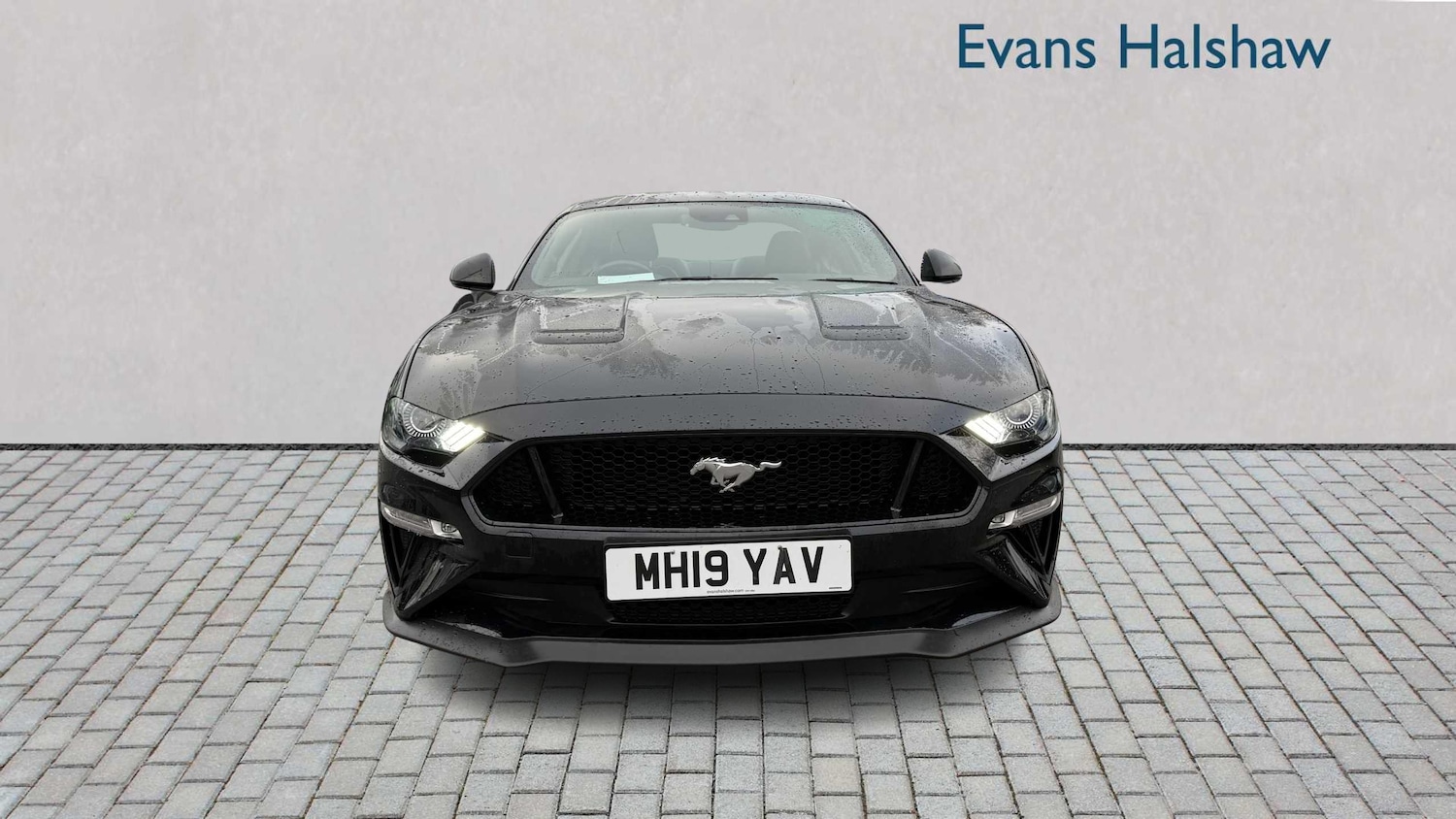 Used Ford Mustang 2019 for sale - 77068573: Photo 2