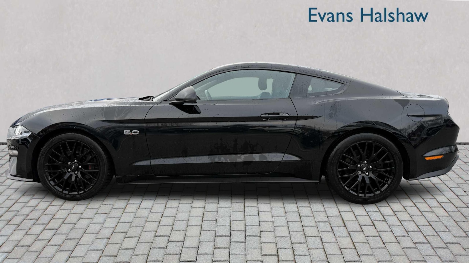 Used Ford Mustang 2019 for sale - 77068573: Photo 3