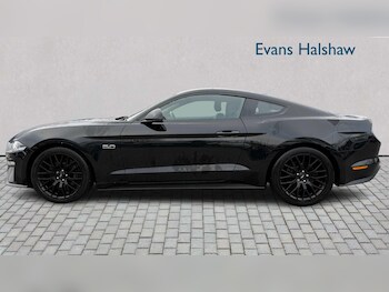 Used Ford Mustang 2019 for sale - 77068573: Photo