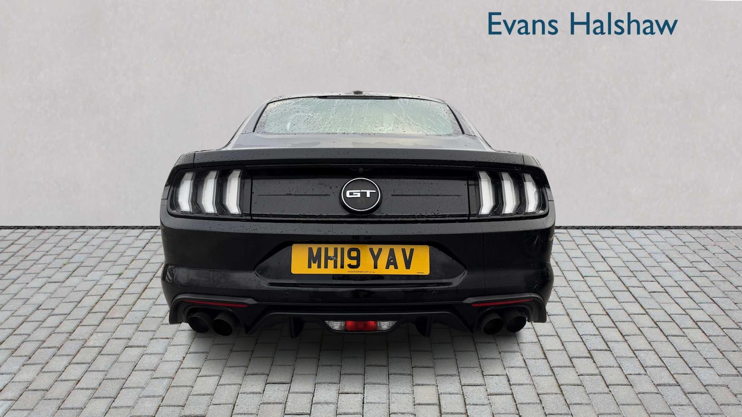 Used Ford Mustang 2019 for sale - 77068573: Photo 4