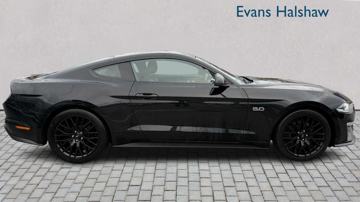 Used Ford Mustang 2019 for sale - 77068573: Photo 5