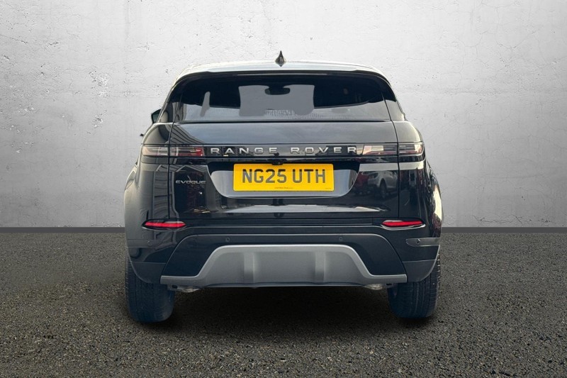 Used Land Rover Range Rover Evoque 2025 for sale - 77261794: Photo 6