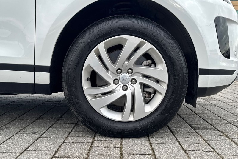 Used Land Rover Range Rover Evoque 2025 for sale - 77270952: Photo 8