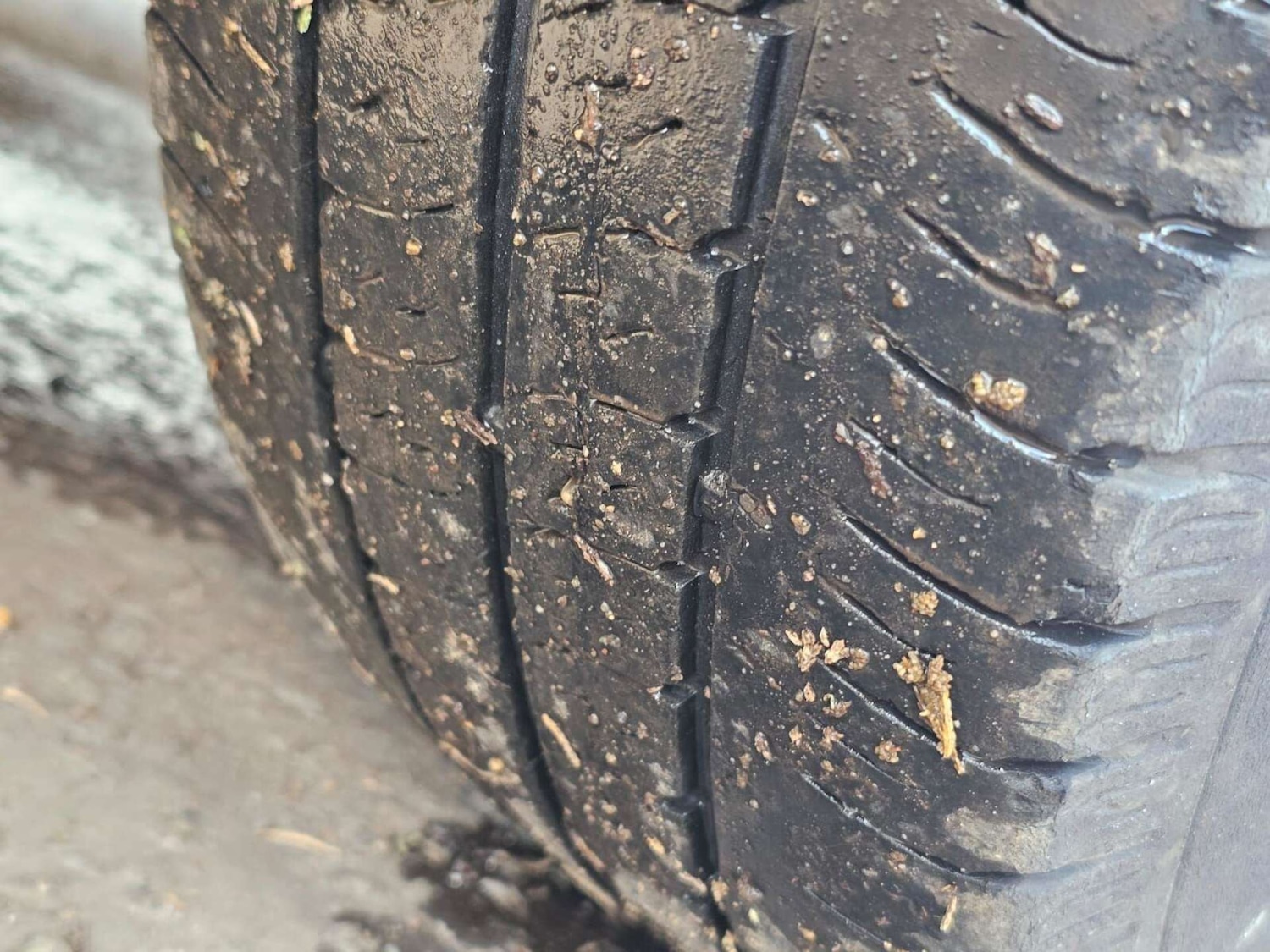 Used Ford Transit Custom 2023 for sale - 78223562: Photo 65