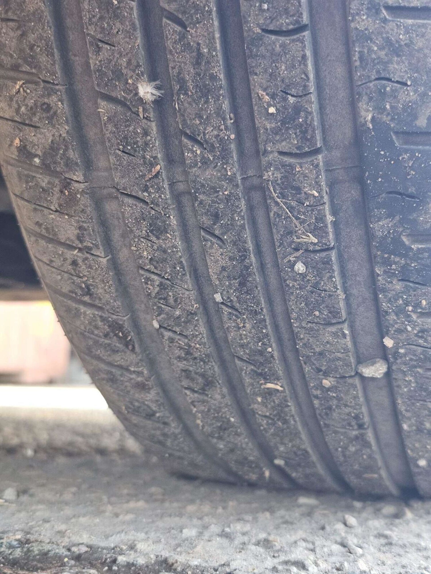 Used Ford Transit Connect 2019 for sale - 78223543: Photo 55