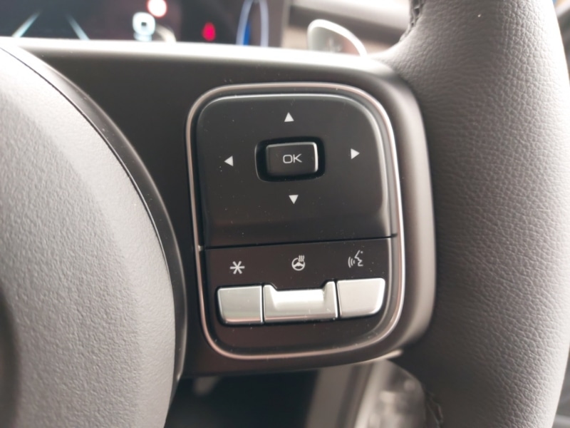 Used GWM POER300 2025 for sale - 75914296: Photo 13