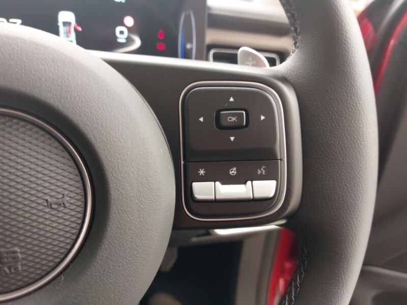 Used GWM POER300 2025 for sale - 76721580: Photo 13