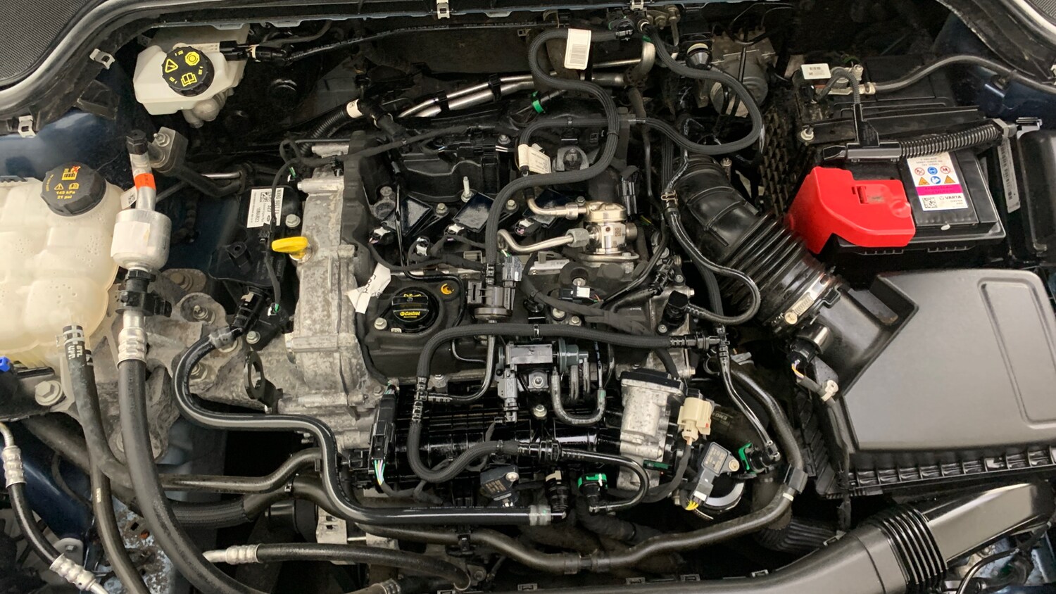 Used Ford Focus 2023 for sale - 77511931: Photo 21