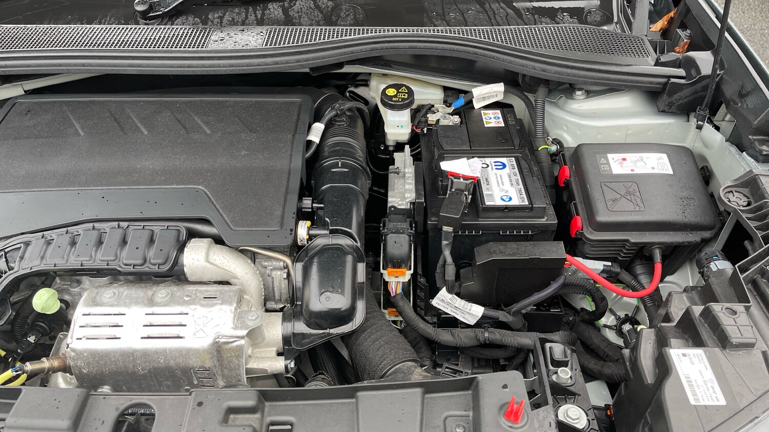 Used Jeep Other 2025 for sale - 77497915: Photo 18