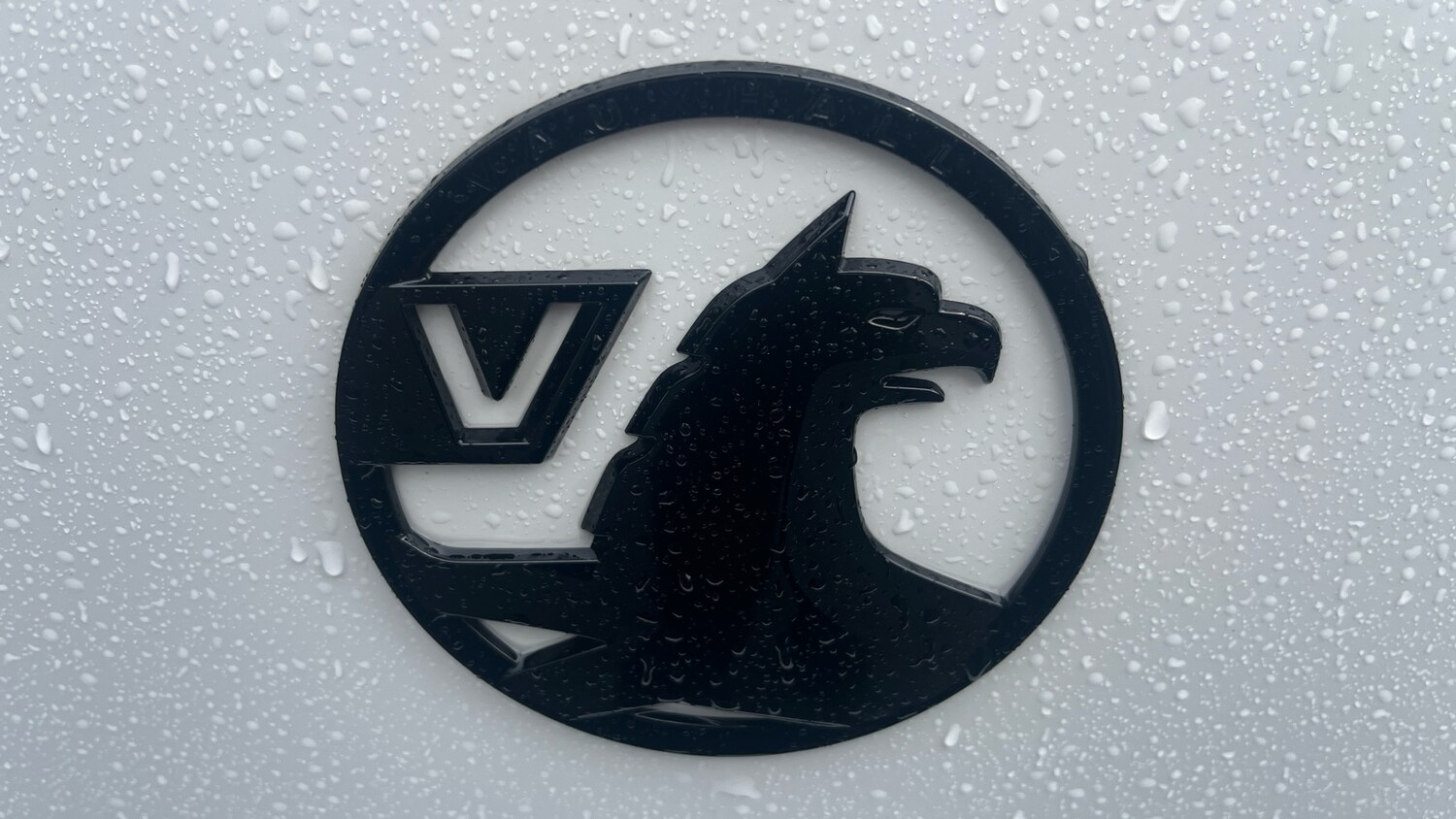 Vehicle 44