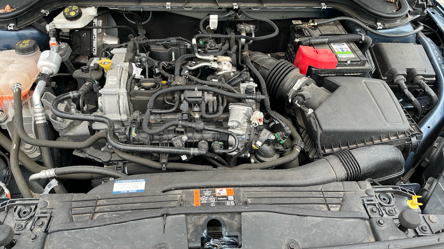 Used Ford Focus 2021 for sale - 78059000: Photo 18