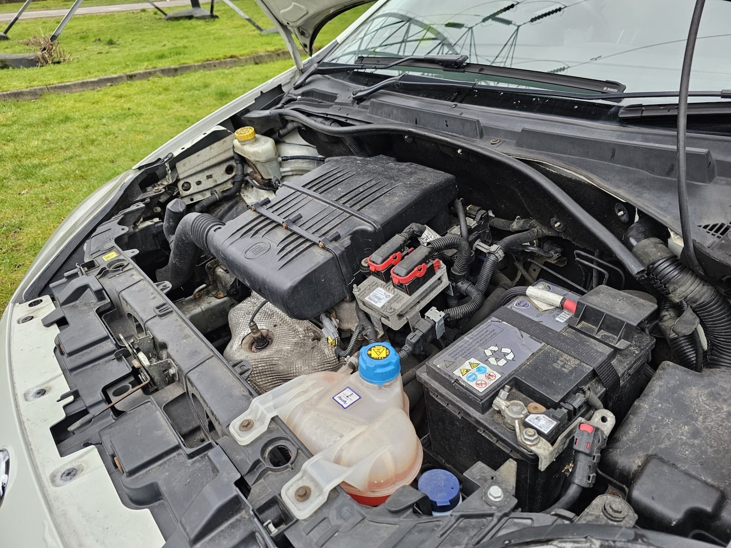 Used Fiat Punto 2012 for sale - 78131673: Photo 15