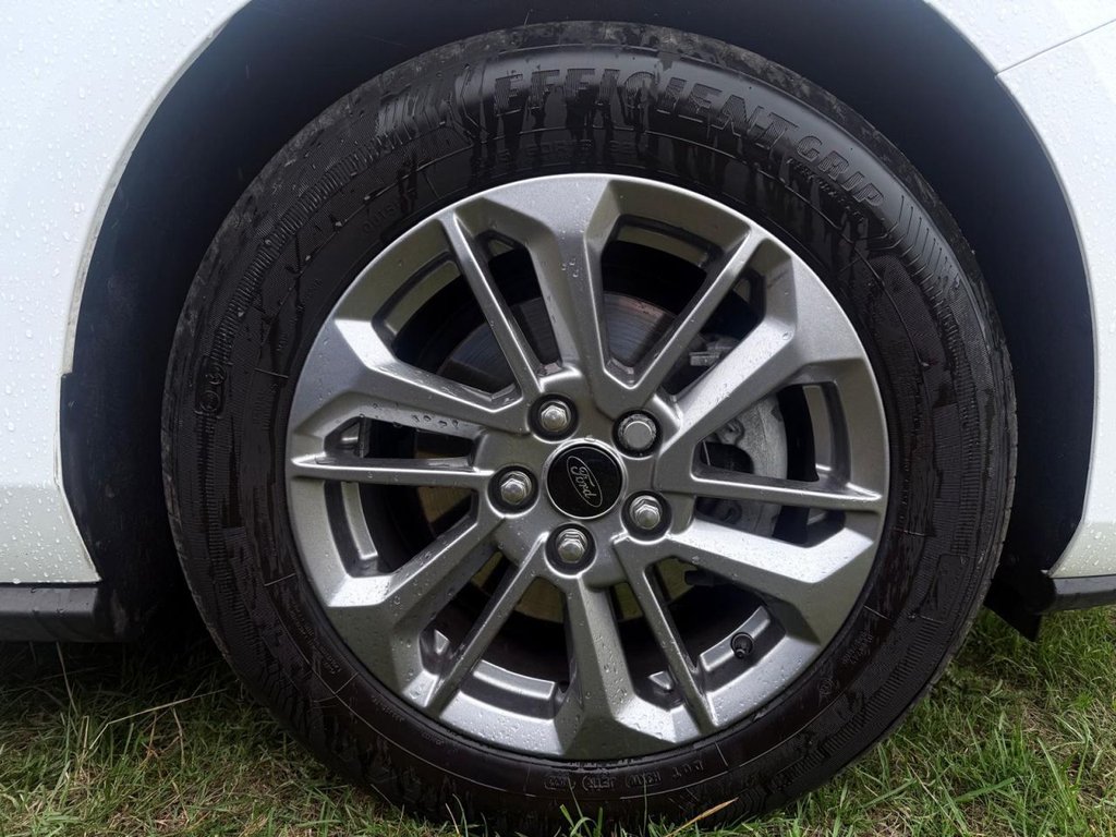 Used Ford Focus 2023 for sale - 77369320: Photo 10