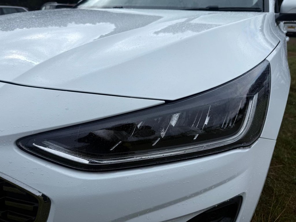 Used Ford Focus 2023 for sale - 77369320: Photo 11