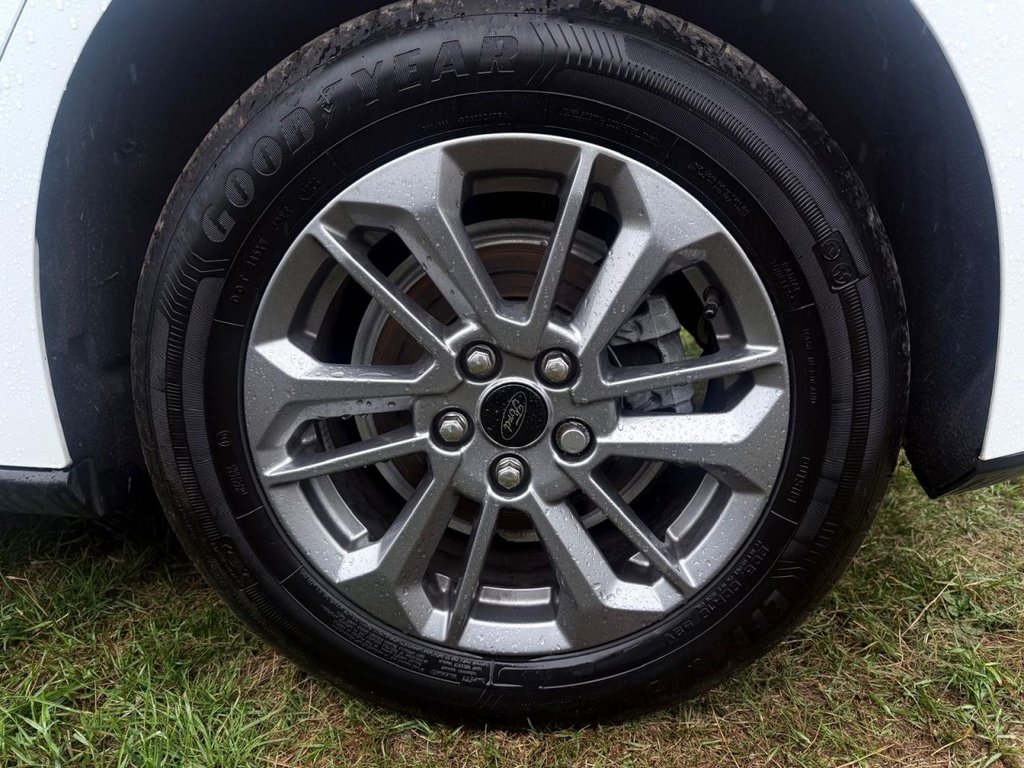 Used Ford Focus 2023 for sale - 77369320: Photo 9