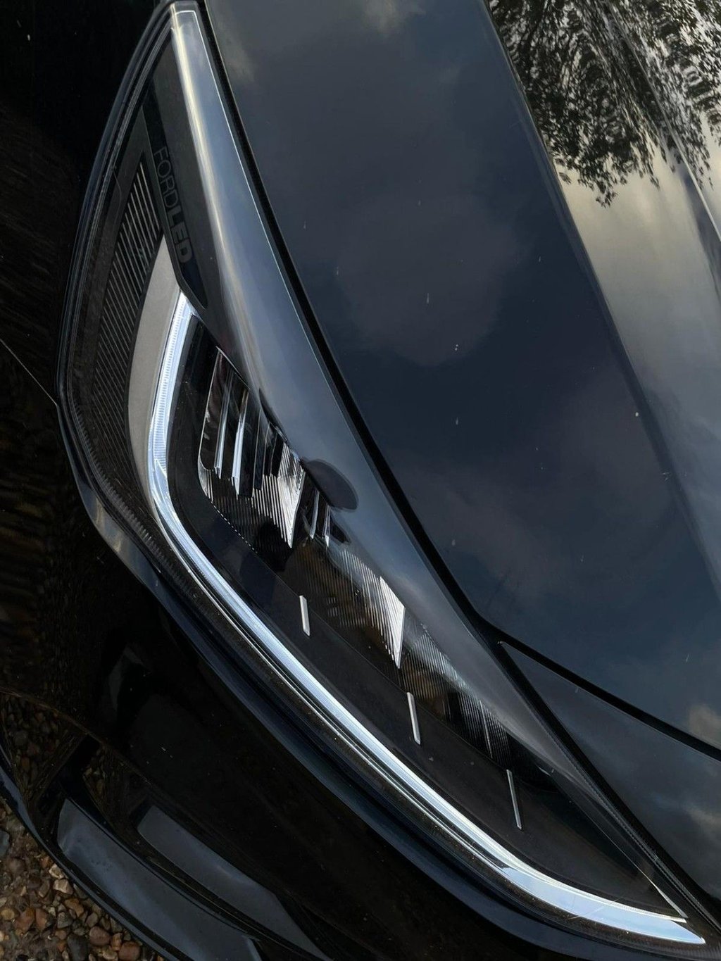 Used Ford Focus 2023 for sale - 77369305: Photo 37