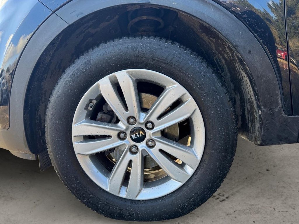 Used Kia Sportage 2017 for sale - 77369848: Photo 10