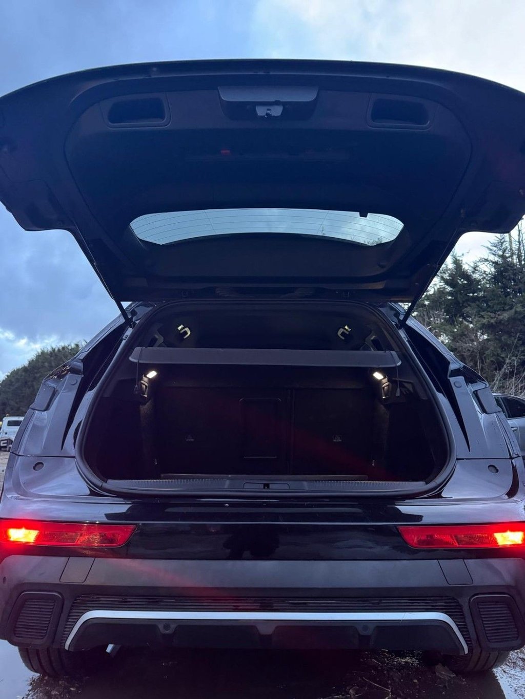 Used DS Automobiles DS 7 2020 for sale - 77369005: Photo 33