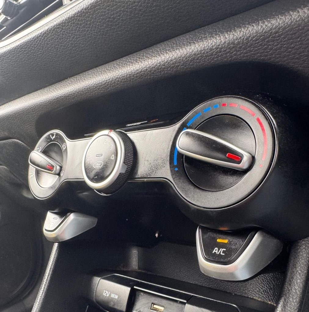 Used Kia Picanto 2024 for sale - 78102813: Photo 21