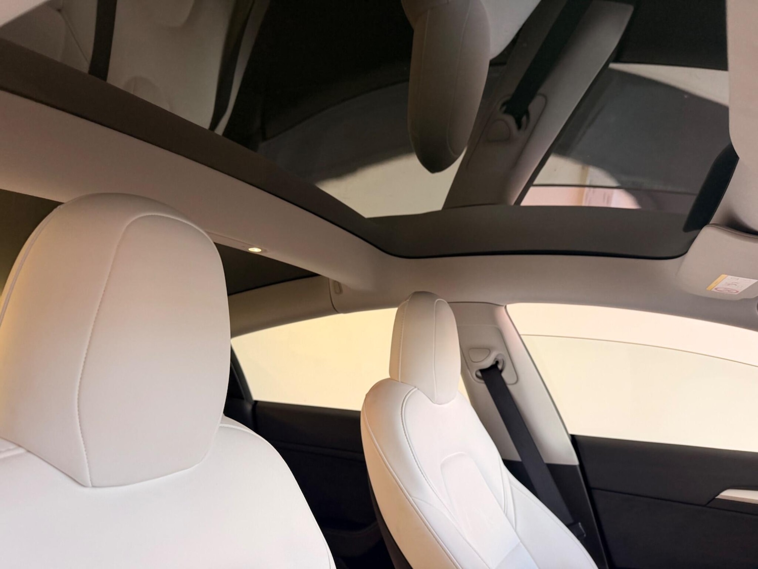 Used Tesla Model 3 for sale - 78219955: Photo 29