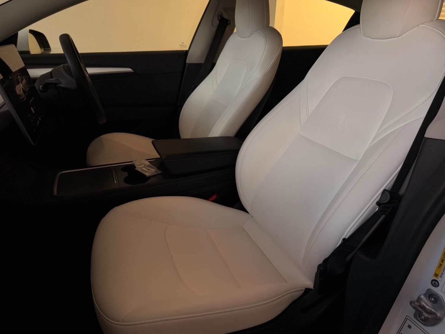 Used Tesla Model 3 for sale - 78219955: Photo 30