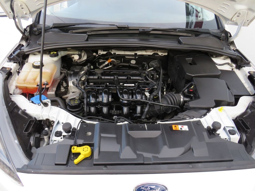 Used Ford Focus 2015 for sale - 76950377: Photo 13