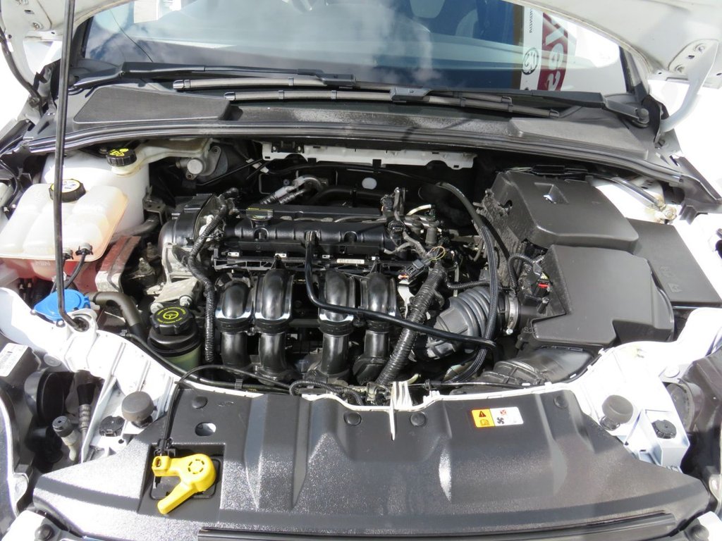 Used Ford Focus 2013 for sale - 78200878: Photo 13