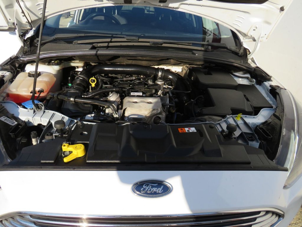 Used Ford Focus 2016 for sale - 76660636: Photo 13