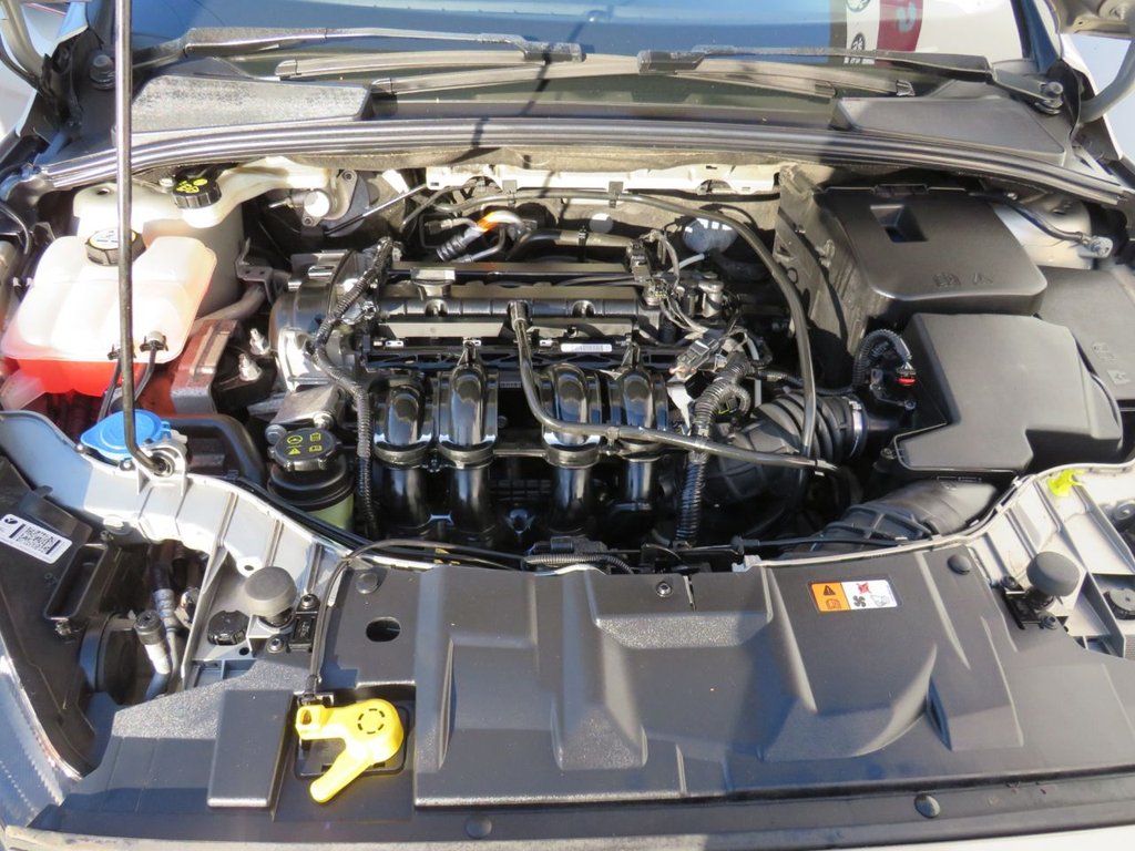 Used Ford Focus 2015 for sale - 77140005: Photo 13