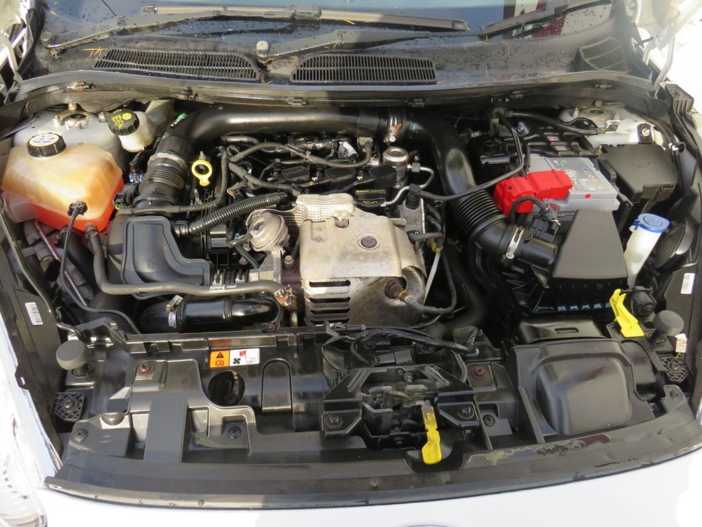 Used Ford Fiesta 2015 for sale - 77020408: Photo 14