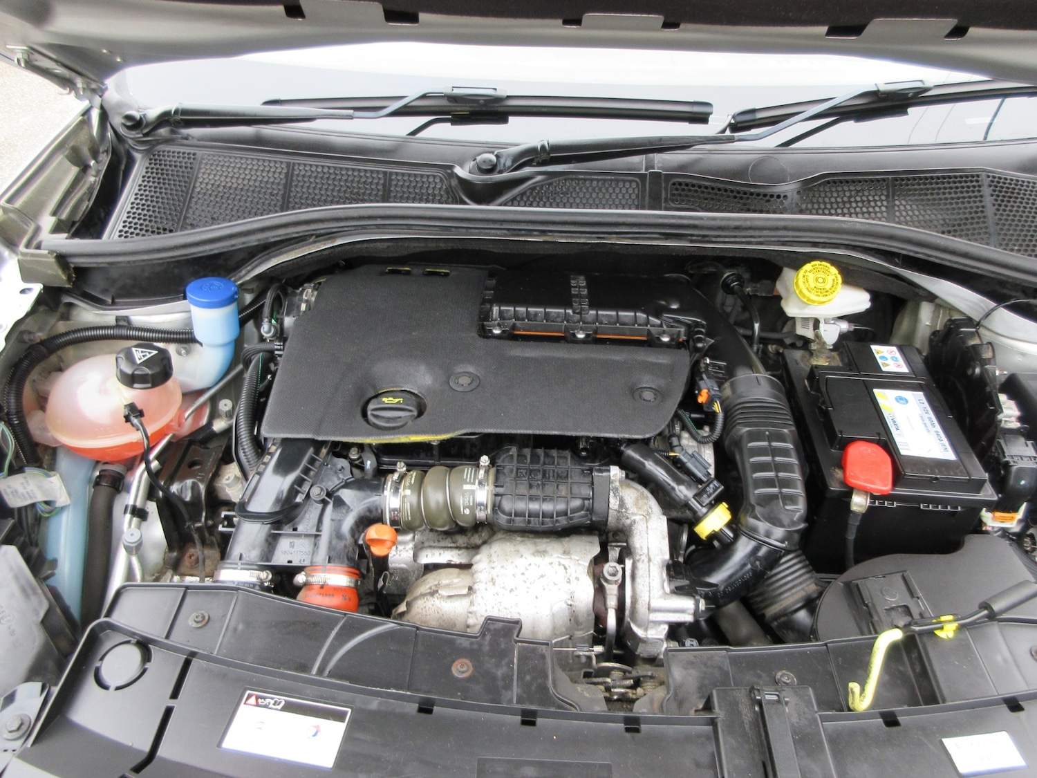 Used Citroen C4 Cactus 2016 for sale - 77902736: Photo 20