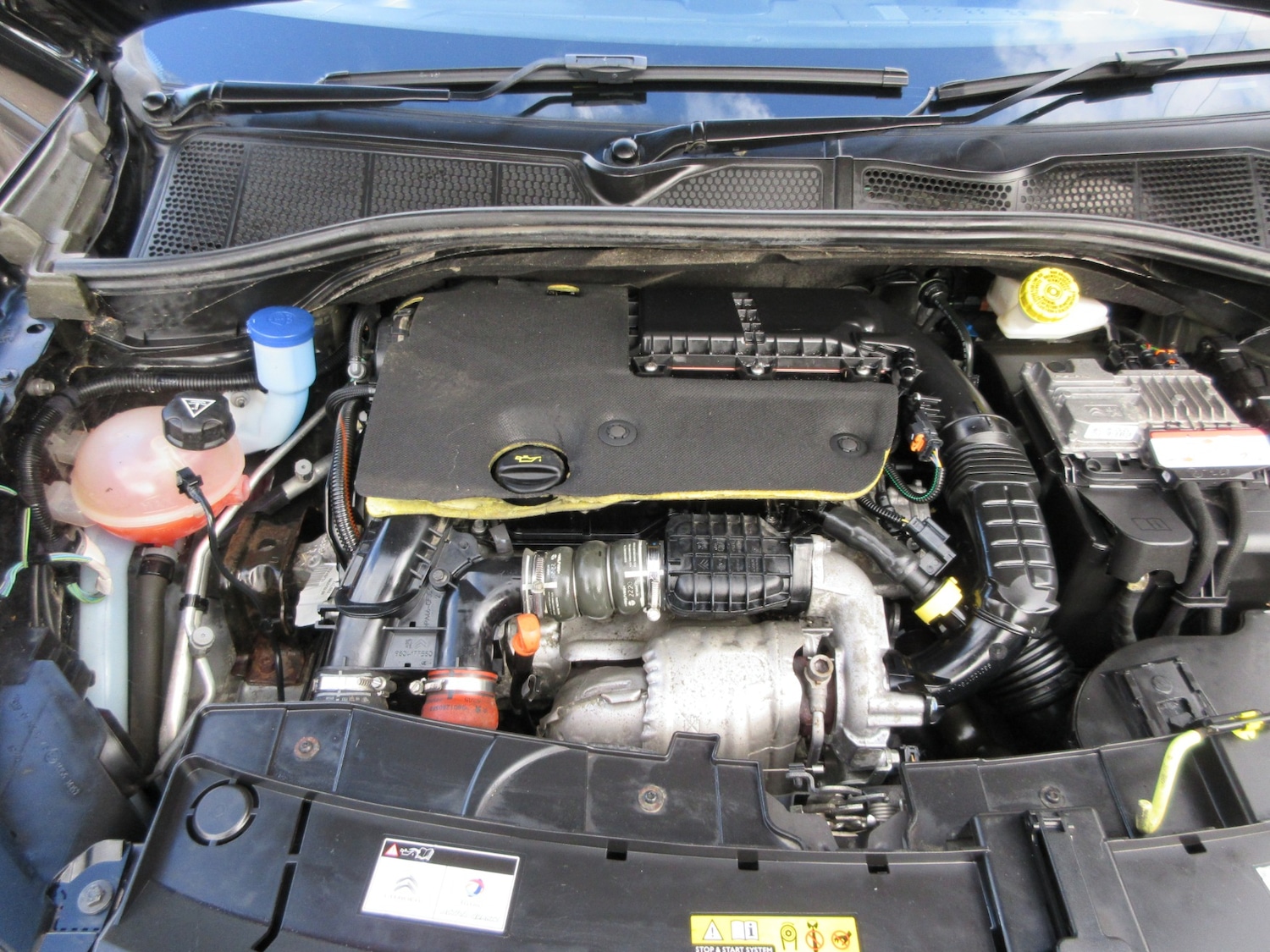 Used Citroen C4 Cactus 2016 for sale - 75957598: Photo 22