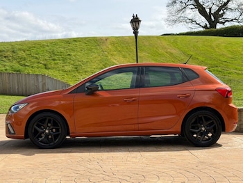 Used SEAT Ibiza 2020 for sale - 79000716: Photo
