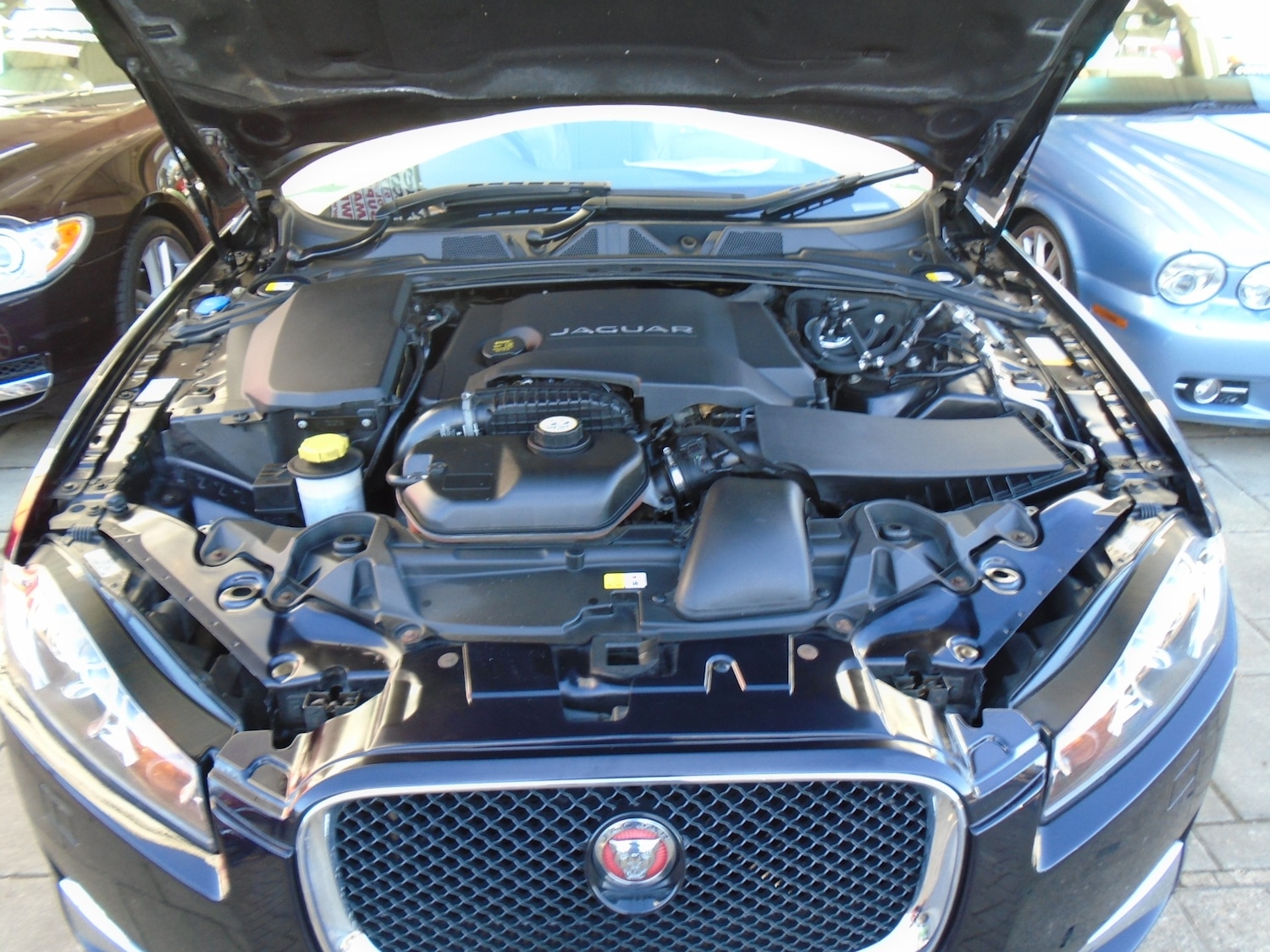 Used Jaguar XF 2013 for sale - 77058472: Photo 13