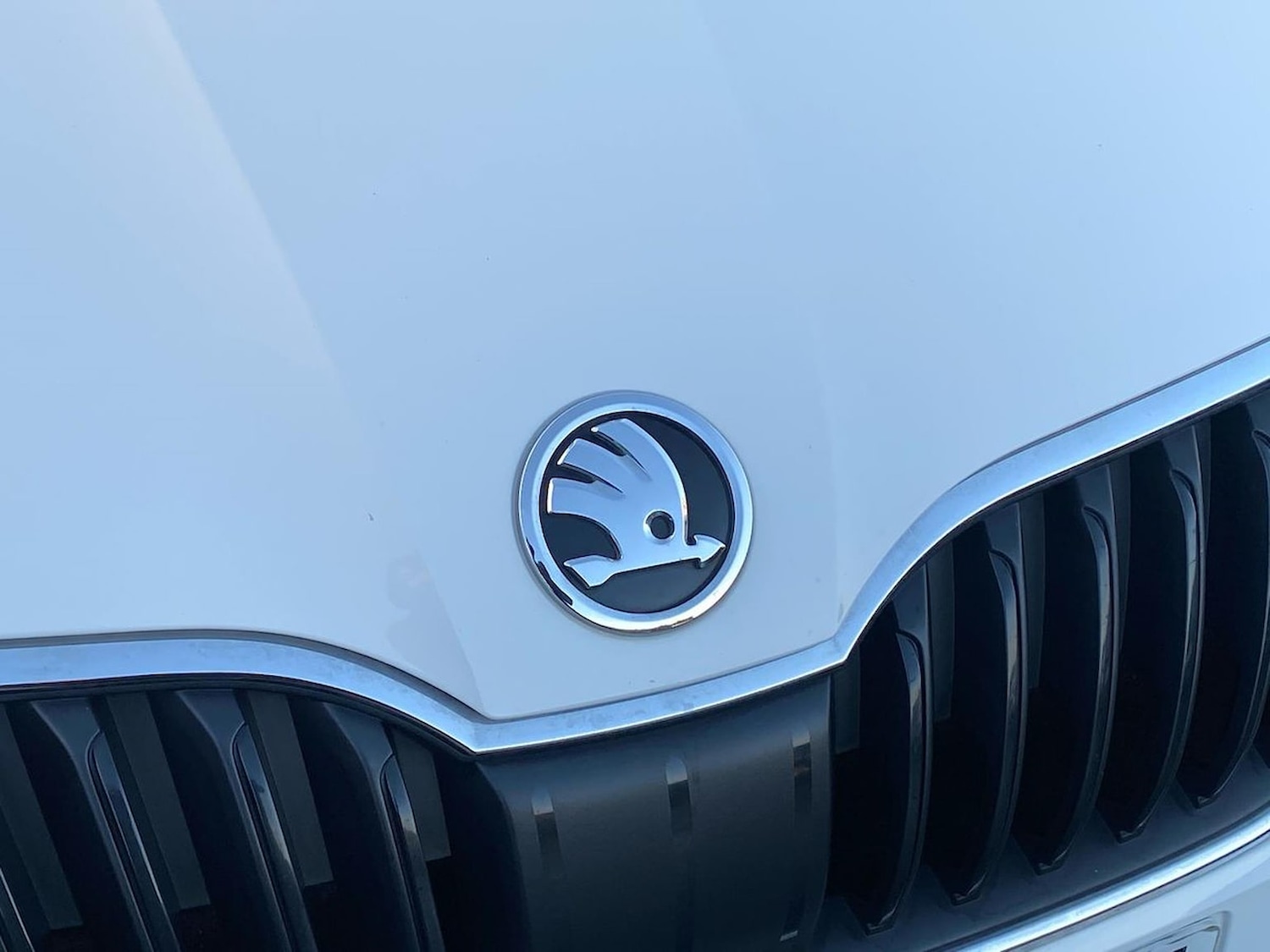 Used Skoda Octavia 2020 for sale - 76963495: Photo 28