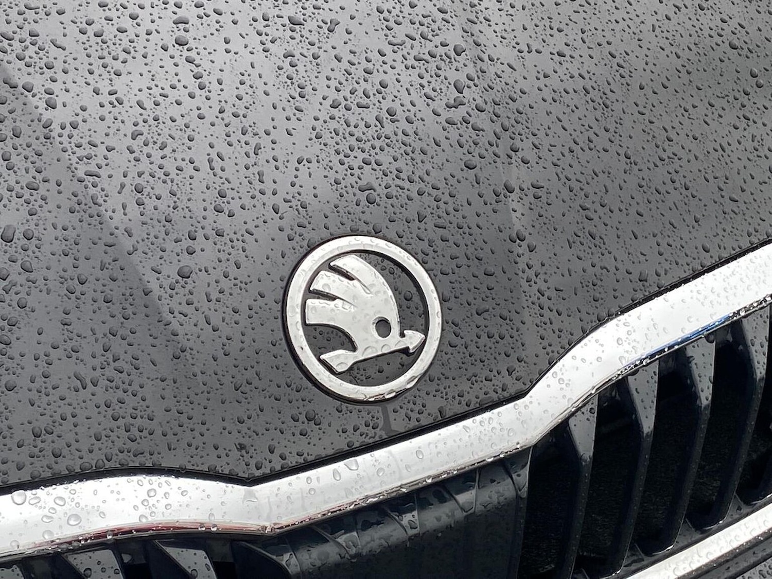 Used Skoda Scala 2020 for sale - 77729955: Photo 29