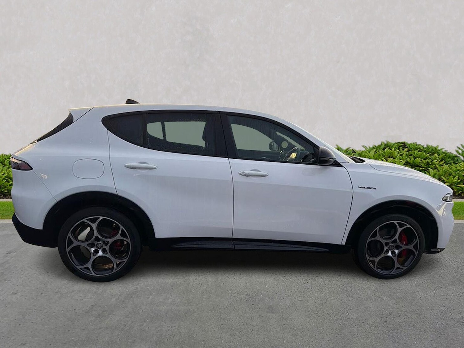 Used Alfa Romeo Tonale 2024 for sale - 77489026: Photo 3