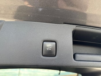 Used Ford Kuga 2023 for sale - 79626621: Photo