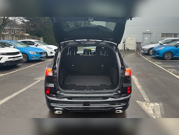 Used Ford Kuga 2023 for sale - 77247266: Photo