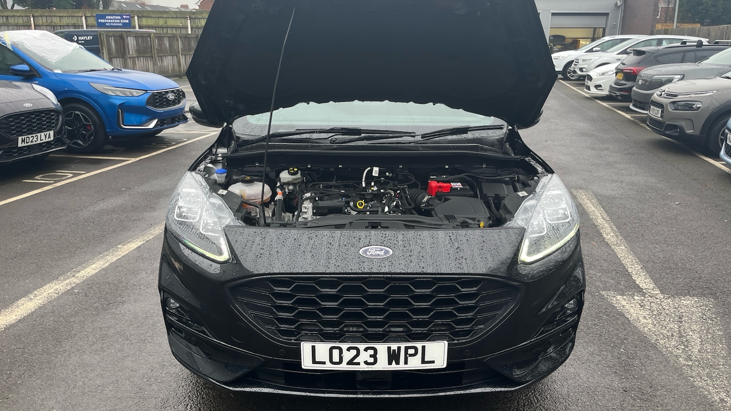 Used Ford Kuga 2023 for sale - 77247266: Photo 8