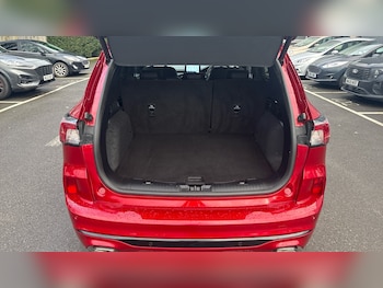 Used Ford Kuga 2023 for sale - 77501171: Photo