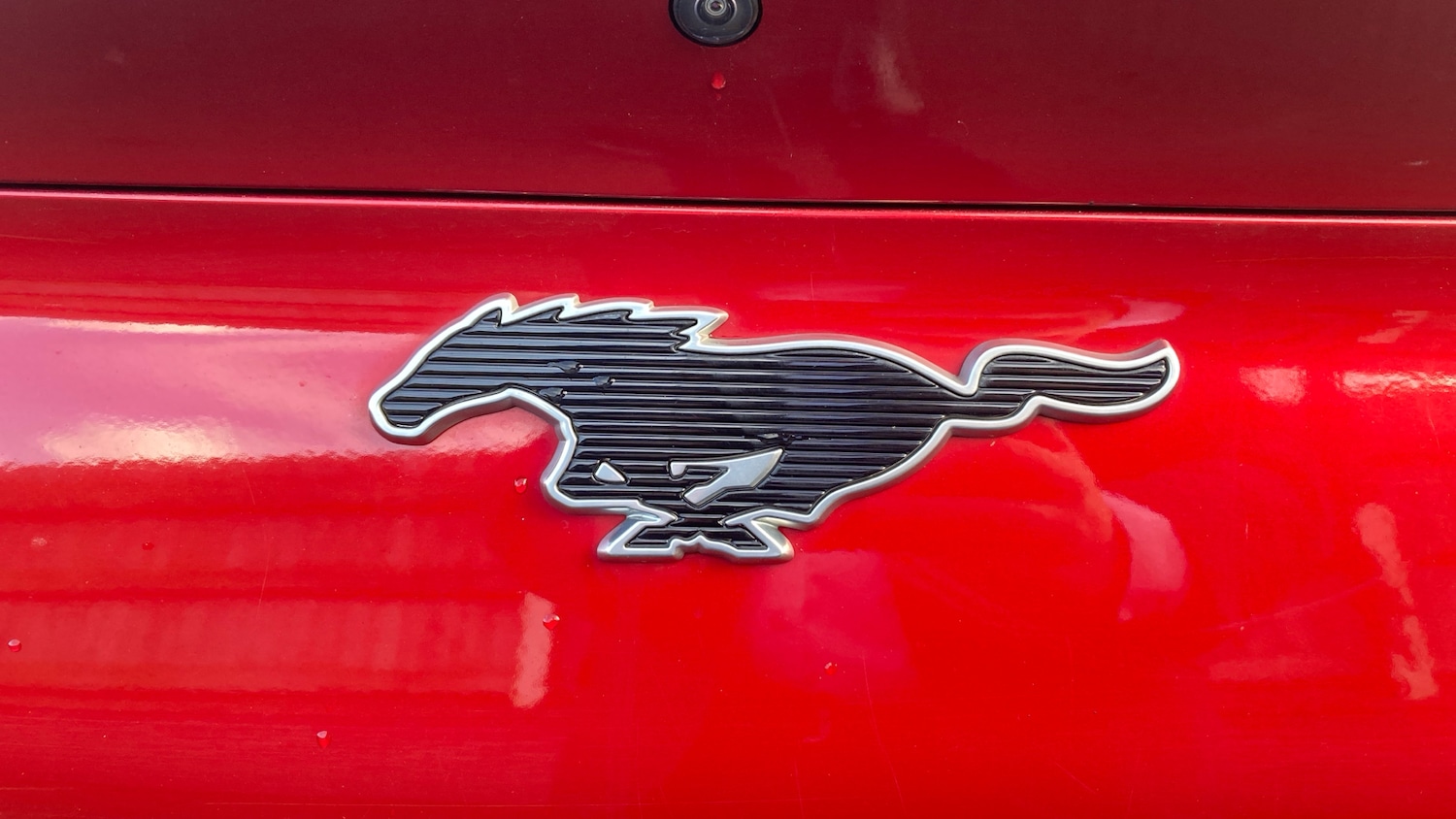 Used Ford Mustang Mach-E 2023 for sale - 77568272: Photo 22