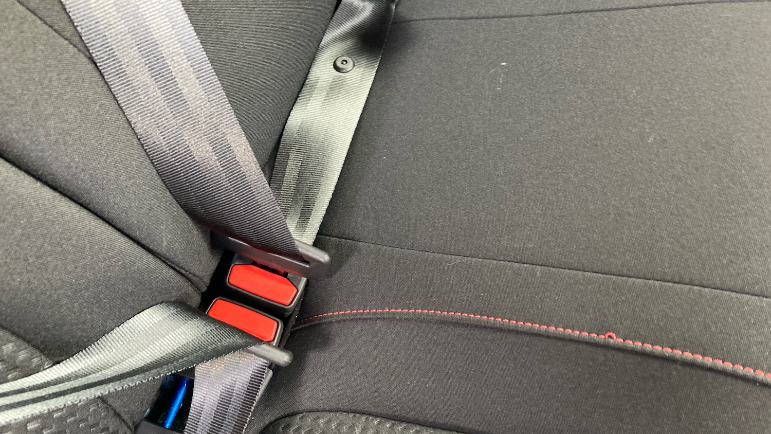 Used Ford Focus 2024 for sale - 78028494: Photo 17