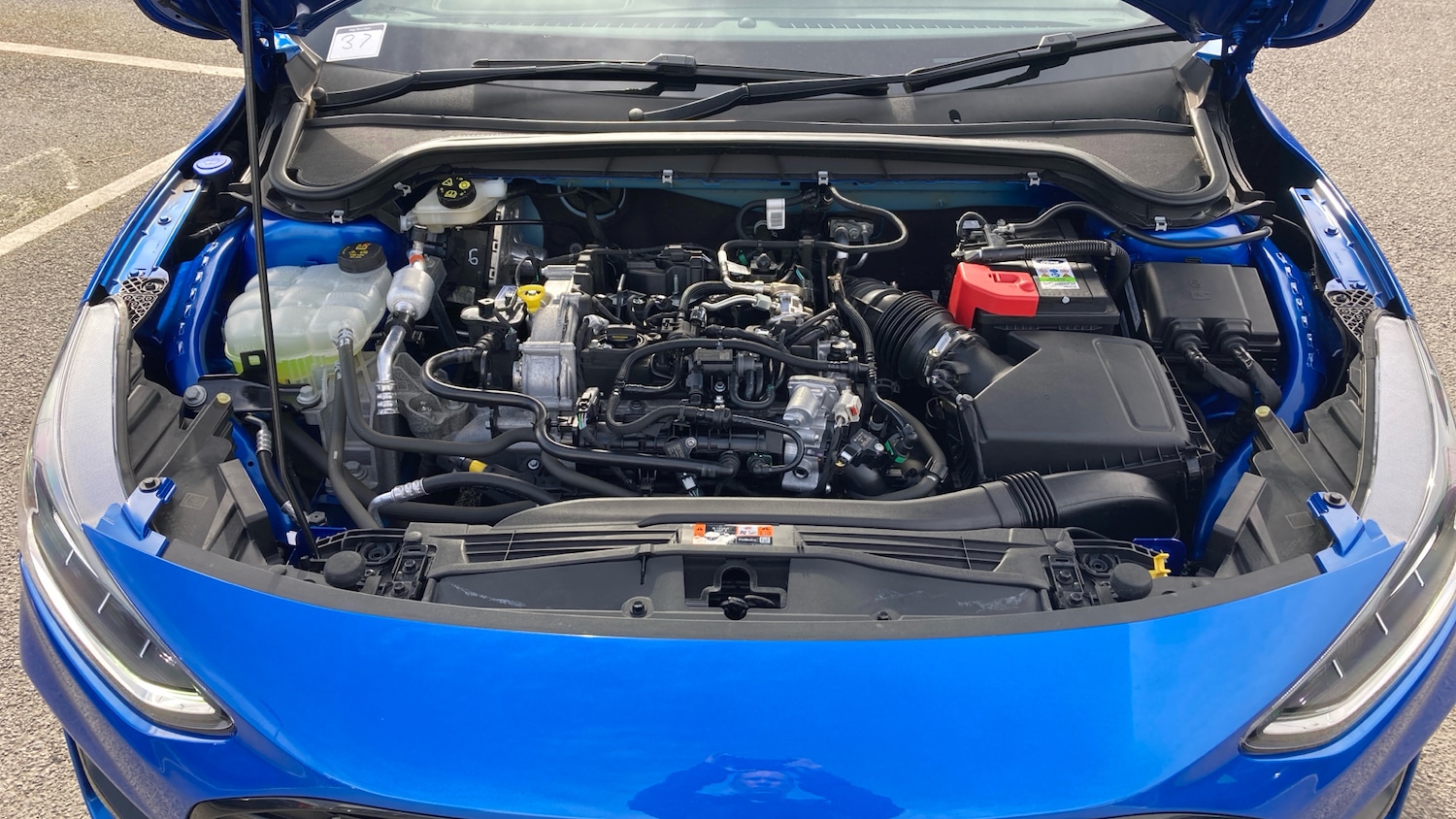 Used Ford Focus 2024 for sale - 78028494: Photo 8