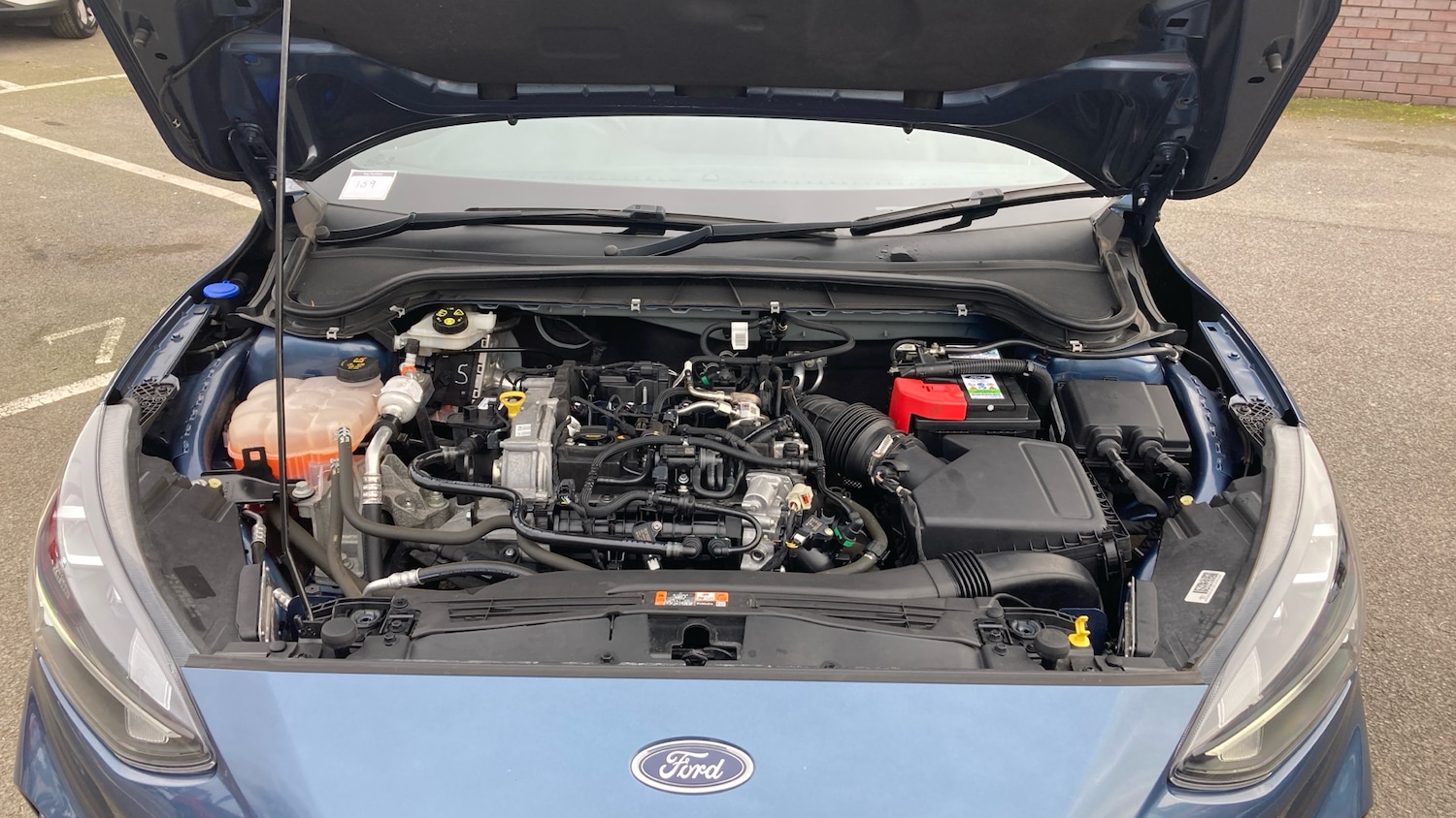 Used Ford Focus 2022 for sale - 77643602: Photo 8